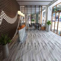 Aesthetic Design Applications(1)